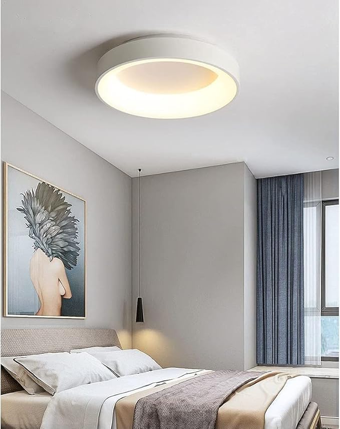 Minimalist Round Decor Ceiling Light