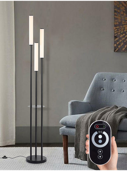 LED Shelf Floor Lamp