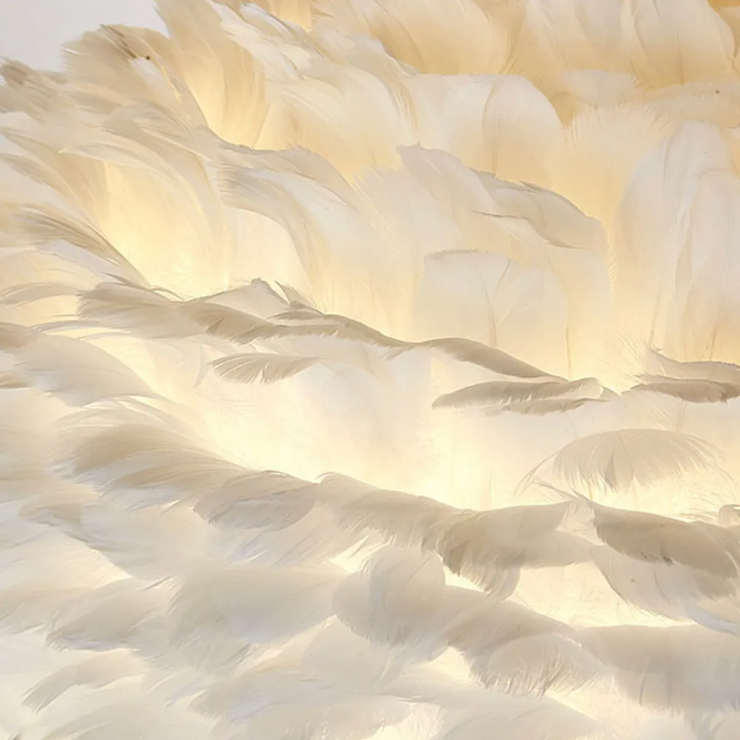 Feather Illumination Lamp